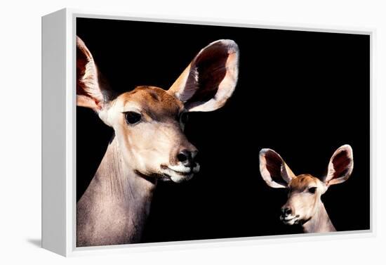 Safari Profile Collection - Antelope and Baby Black Edition-Philippe Hugonnard-Framed Premier Image Canvas