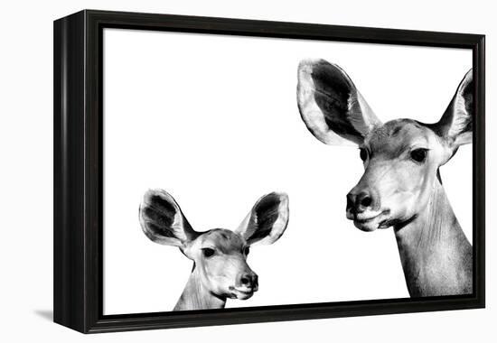 Safari Profile Collection - Antelope and Baby White Edition II-Philippe Hugonnard-Framed Premier Image Canvas