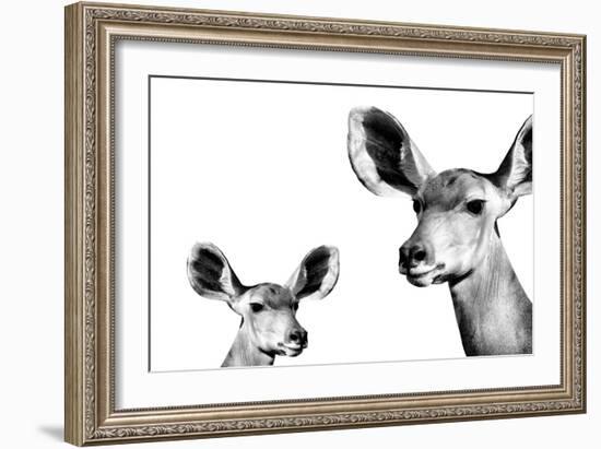 Safari Profile Collection - Antelope and Baby White Edition II-Philippe Hugonnard-Framed Photographic Print