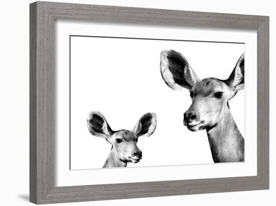 Safari Profile Collection - Antelope and Baby White Edition II-Philippe Hugonnard-Framed Photographic Print