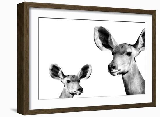 Safari Profile Collection - Antelope and Baby White Edition II-Philippe Hugonnard-Framed Photographic Print