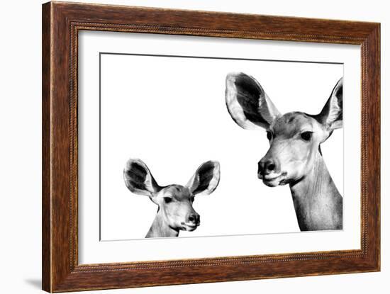 Safari Profile Collection - Antelope and Baby White Edition II-Philippe Hugonnard-Framed Photographic Print