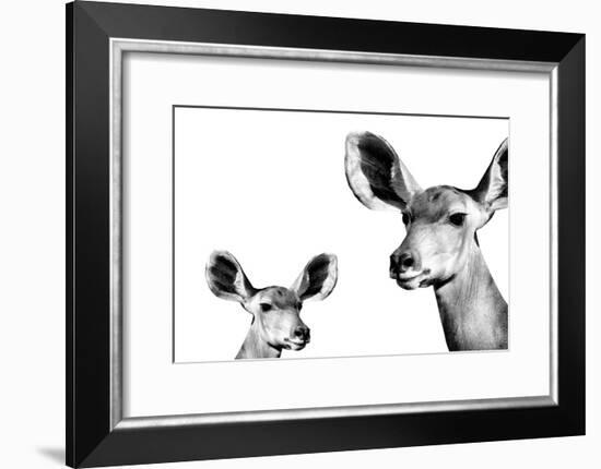 Safari Profile Collection - Antelope and Baby White Edition II-Philippe Hugonnard-Framed Photographic Print