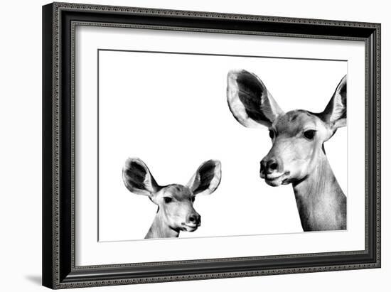 Safari Profile Collection - Antelope and Baby White Edition II-Philippe Hugonnard-Framed Photographic Print