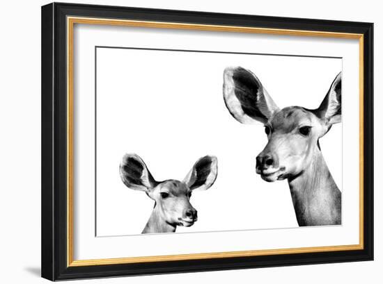 Safari Profile Collection - Antelope and Baby White Edition II-Philippe Hugonnard-Framed Photographic Print