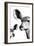 Safari Profile Collection - Antelope and Baby White Edition VI-Philippe Hugonnard-Framed Photographic Print