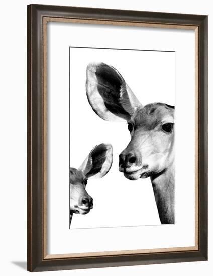 Safari Profile Collection - Antelope and Baby White Edition VI-Philippe Hugonnard-Framed Photographic Print