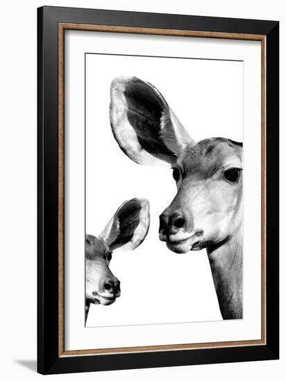 Safari Profile Collection - Antelope and Baby White Edition VI-Philippe Hugonnard-Framed Photographic Print