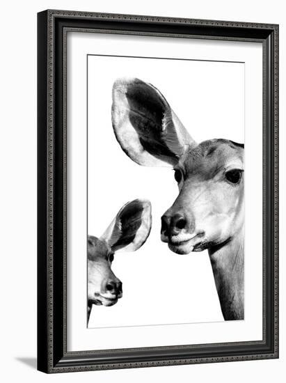 Safari Profile Collection - Antelope and Baby White Edition VI-Philippe Hugonnard-Framed Photographic Print