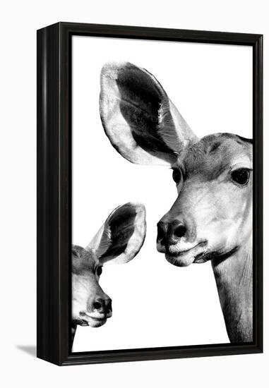 Safari Profile Collection - Antelope and Baby White Edition VI-Philippe Hugonnard-Framed Premier Image Canvas