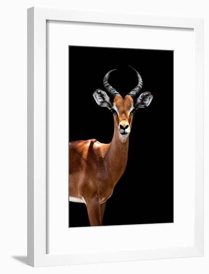 Safari Profile Collection - Antelope Black Edition II-Philippe Hugonnard-Framed Photographic Print