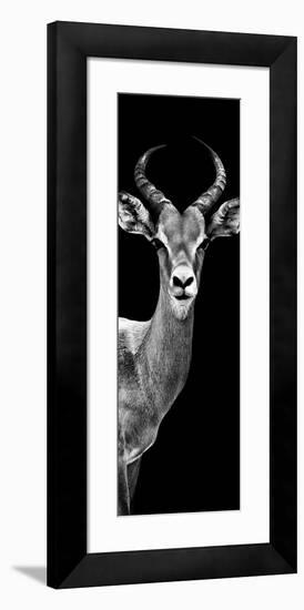 Safari Profile Collection - Antelope Black Edition III-Philippe Hugonnard-Framed Photographic Print