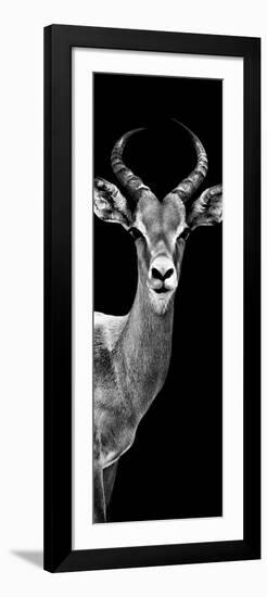 Safari Profile Collection - Antelope Black Edition III-Philippe Hugonnard-Framed Photographic Print