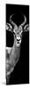 Safari Profile Collection - Antelope Black Edition III-Philippe Hugonnard-Mounted Photographic Print