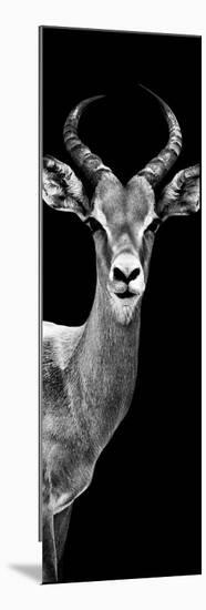 Safari Profile Collection - Antelope Black Edition III-Philippe Hugonnard-Mounted Photographic Print