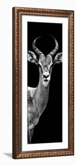 Safari Profile Collection - Antelope Black Edition III-Philippe Hugonnard-Framed Photographic Print