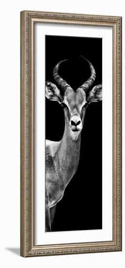 Safari Profile Collection - Antelope Black Edition III-Philippe Hugonnard-Framed Photographic Print