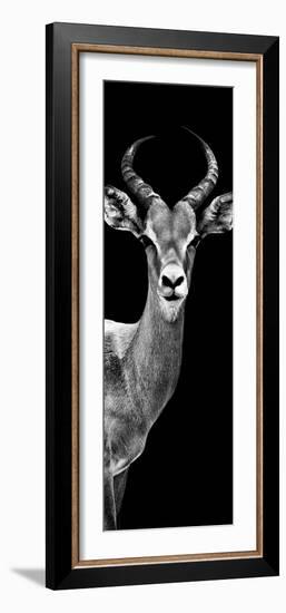Safari Profile Collection - Antelope Black Edition III-Philippe Hugonnard-Framed Photographic Print