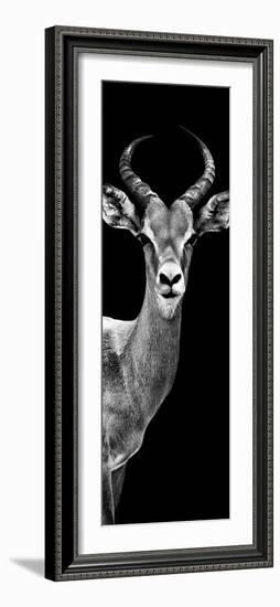 Safari Profile Collection - Antelope Black Edition III-Philippe Hugonnard-Framed Photographic Print