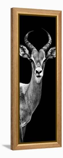 Safari Profile Collection - Antelope Black Edition III-Philippe Hugonnard-Framed Premier Image Canvas