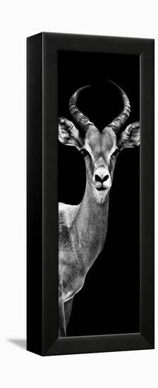 Safari Profile Collection - Antelope Black Edition III-Philippe Hugonnard-Framed Premier Image Canvas