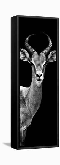 Safari Profile Collection - Antelope Black Edition III-Philippe Hugonnard-Framed Premier Image Canvas