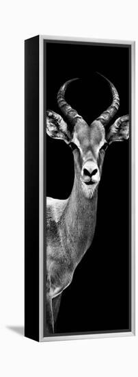 Safari Profile Collection - Antelope Black Edition III-Philippe Hugonnard-Framed Premier Image Canvas