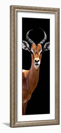 Safari Profile Collection - Antelope Black Edition IV-Philippe Hugonnard-Framed Photographic Print