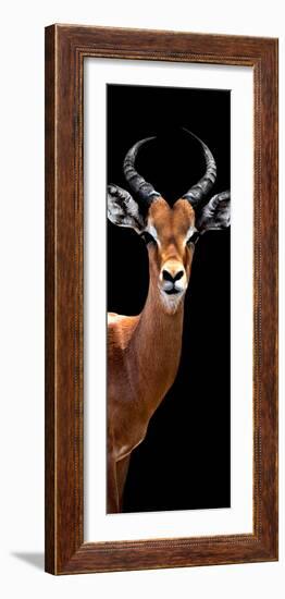 Safari Profile Collection - Antelope Black Edition IV-Philippe Hugonnard-Framed Photographic Print