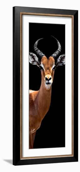 Safari Profile Collection - Antelope Black Edition IV-Philippe Hugonnard-Framed Photographic Print