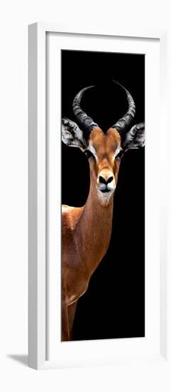 Safari Profile Collection - Antelope Black Edition IV-Philippe Hugonnard-Framed Photographic Print