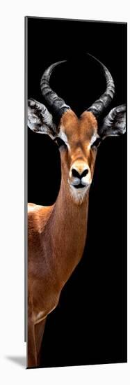 Safari Profile Collection - Antelope Black Edition IV-Philippe Hugonnard-Mounted Photographic Print