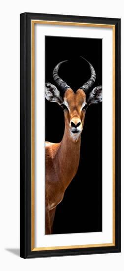 Safari Profile Collection - Antelope Black Edition IV-Philippe Hugonnard-Framed Photographic Print