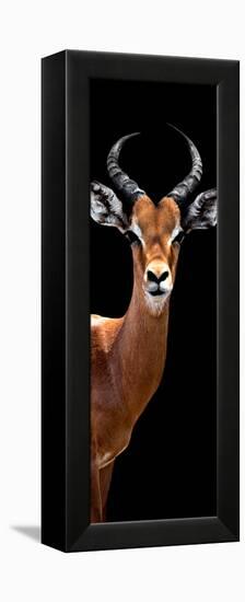 Safari Profile Collection - Antelope Black Edition IV-Philippe Hugonnard-Framed Premier Image Canvas
