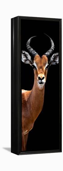 Safari Profile Collection - Antelope Black Edition IV-Philippe Hugonnard-Framed Premier Image Canvas