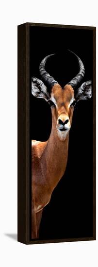 Safari Profile Collection - Antelope Black Edition IV-Philippe Hugonnard-Framed Premier Image Canvas