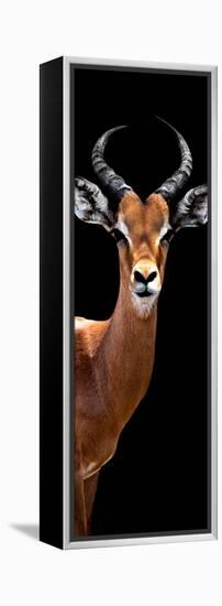 Safari Profile Collection - Antelope Black Edition IV-Philippe Hugonnard-Framed Premier Image Canvas