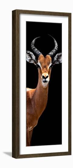 Safari Profile Collection - Antelope Black Edition IV-Philippe Hugonnard-Framed Premium Photographic Print