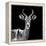 Safari Profile Collection - Antelope Black Edition V-Philippe Hugonnard-Framed Premier Image Canvas