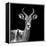 Safari Profile Collection - Antelope Black Edition V-Philippe Hugonnard-Framed Premier Image Canvas