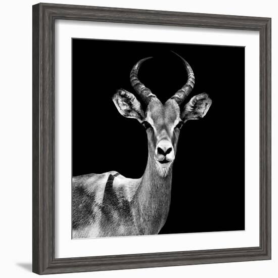 Safari Profile Collection - Antelope Black Edition V-Philippe Hugonnard-Framed Photographic Print