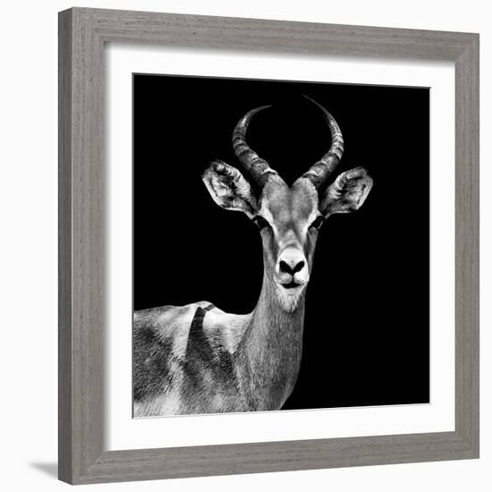 Safari Profile Collection - Antelope Black Edition V-Philippe Hugonnard-Framed Photographic Print