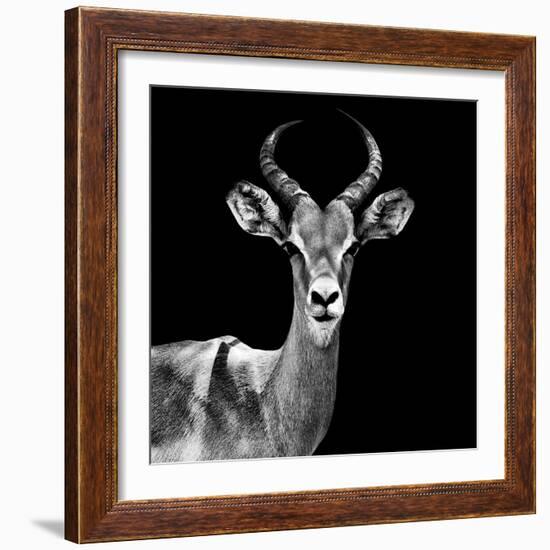 Safari Profile Collection - Antelope Black Edition V-Philippe Hugonnard-Framed Photographic Print