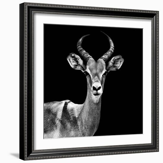 Safari Profile Collection - Antelope Black Edition V-Philippe Hugonnard-Framed Photographic Print