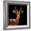 Safari Profile Collection - Antelope Black Edition VI-Philippe Hugonnard-Framed Photographic Print