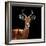 Safari Profile Collection - Antelope Black Edition VI-Philippe Hugonnard-Framed Photographic Print