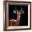 Safari Profile Collection - Antelope Black Edition VI-Philippe Hugonnard-Framed Photographic Print