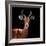 Safari Profile Collection - Antelope Black Edition VI-Philippe Hugonnard-Framed Photographic Print