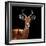 Safari Profile Collection - Antelope Black Edition VI-Philippe Hugonnard-Framed Photographic Print