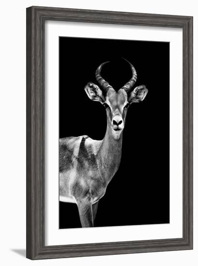 Safari Profile Collection - Antelope Black Edition-Philippe Hugonnard-Framed Photographic Print